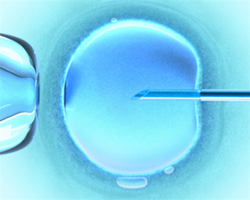 两个女的能不能试管,同性生子不是梦美国试管婴儿可实现【Les专版】