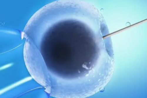 试管代怀网,北京口碑好的助孕包性别-正规试管机构