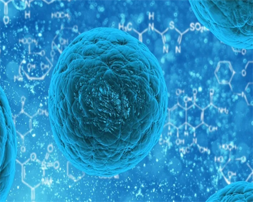 骨髓造精les生孩子,拉萨同性试管2代多少钱_三代试管助孕机构