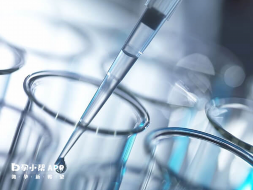 两个女的怎么生自己的孩子,同性情侣可以通过三代试管供卵怀孩子吗