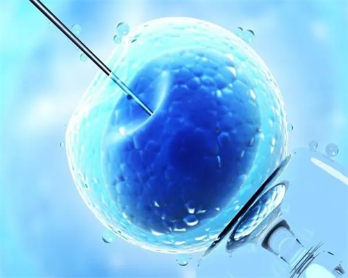 两个女的怎么生孩子,银川同性恋想要孩子怎做-试管助孕机构