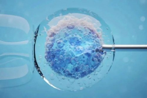 
              江苏省内哪家正规医院可以做供卵试管婴儿？
            