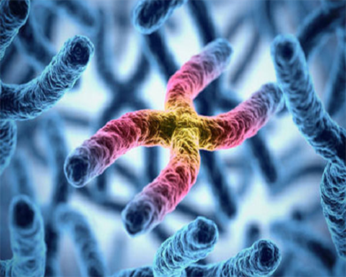 试管取卵后呈现腹水怎样处理？为什么取卵后会呈现腹水？