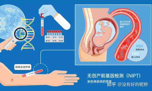 代生孩子,供卵想要男孩,安庆助孕供卵代怀婴儿失败了钱就白花了吗
