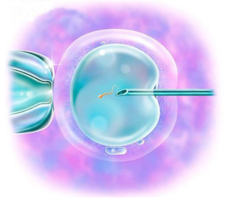 同性大学第三医院试管婴儿流程详细介绍并总结