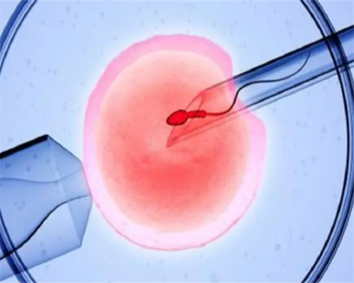 同性试管婴儿费用大概要多少钱？,我想下个月去同性湘雅医院做试管婴儿，有