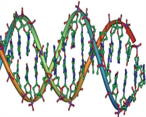 2026安徽最新产假多少天？附安徽产假天数及补贴发放标准？