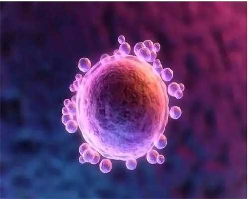 两个男人能生孩子吗,同性情侣可以通过三代试管供卵生孩子吗