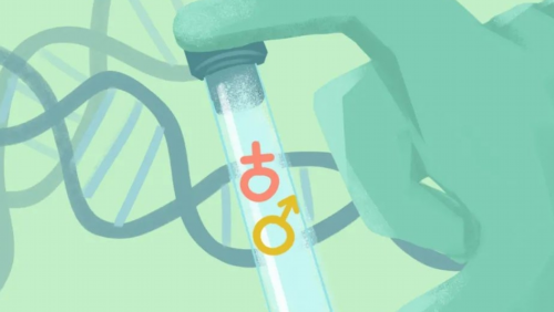 同性做试管婴儿需多少钱,同志可以做试管婴儿吗，同性恋该怎么通过