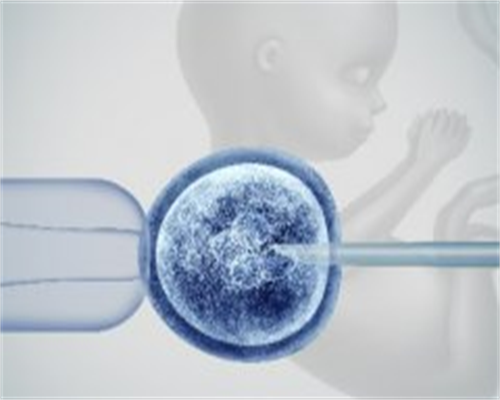 两个t怎么生孩子,武汉私立供卵试管助孕机构同性恋可以做吗？