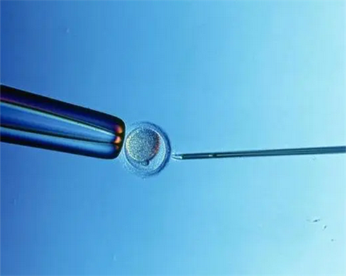 两个女的谈恋爱怎么生孩子,【揭秘不同国家男女偏爱不同性姿势】