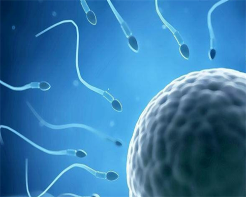 同性试管婴儿多少钱,武汉私立供卵试管助孕机构同性恋可以做吗？