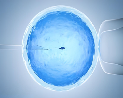 代生孩子,供卵想要男孩,宜昌正规三代供卵代怀婴儿助孕机构有哪些？