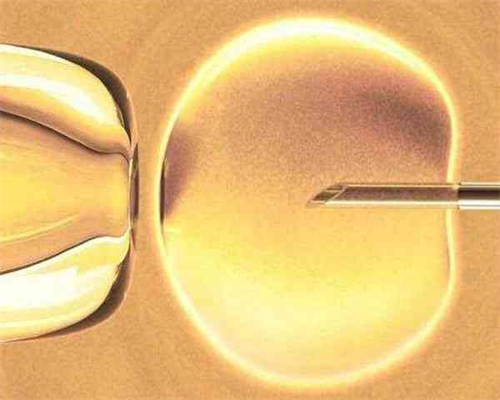 促卵泡成熟的药物有哪些