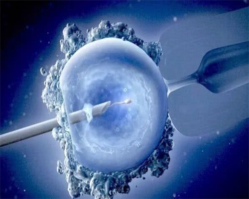 供卵助孕的孩子多大,广西三大助孕公司_南宁三大助孕公司是哪三家