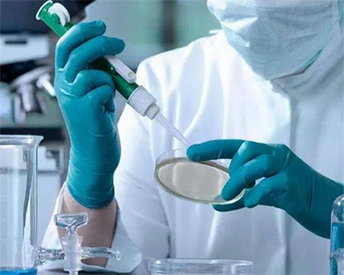 做新加坡试管婴儿前要求_新加坡单身可以做试管婴儿-供卵生子