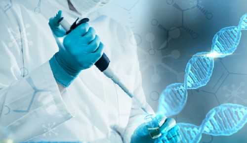 产后如何进行乳房护理小编一一给你介绍