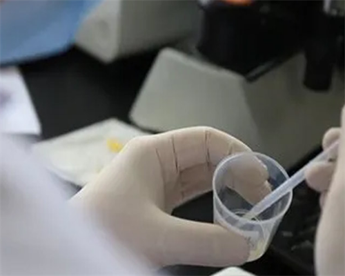 郴州第一人民试管婴儿成功率高吗？可以**吗