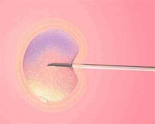 同性市孕宝国际健康管理有限公司怎么样？,同性十月幸孕国际是真的吗？公司