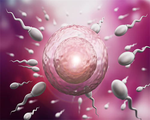 les怎么生自己的小孩,武汉私立供卵试管助孕机构同性恋可以做吗？