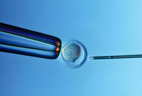 武汉供卵服务：质量保障与中介排名