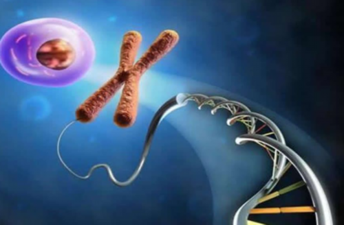 男子无精怎么要孩子,武汉私立供卵试管助孕机构同性恋可以做吗？