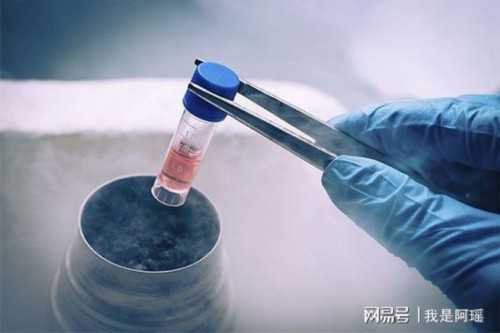 拉拉骨髓生子多少钱,同性恋人能在泰国做试管婴儿生育宝宝吗？