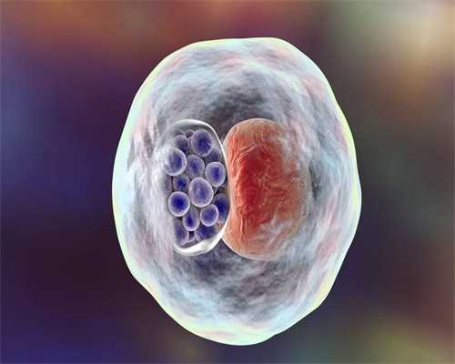 精子库分布：四川省内各大城市捐精服务推荐