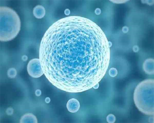 泰国全球试管生殖中心价目表？泰国试管全球医院位置？-代生孩子费用