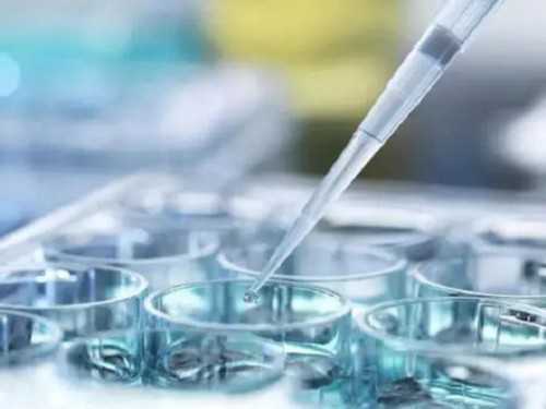 t卵p怀跟p有关系吗,拉萨同性试管2代多少钱_三代试管助孕机构