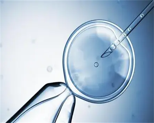 助孕哪个好,抚州供卵代怀助孕生龙凤胎费用大约多少钱