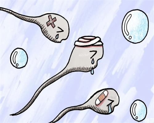 代生网供卵,供卵中介费用,吉林供卵供卵代怀助孕微信（北京供卵代怀微信群）