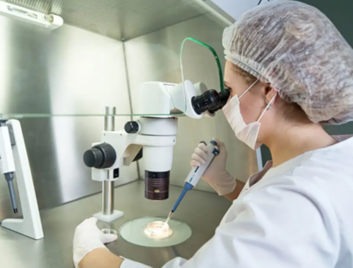 t卵p怀纠纷事件,武汉私立供卵试管助孕机构同性恋可以做吗？