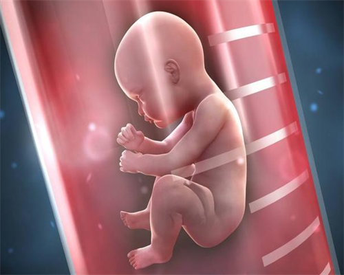 供卵代怀借卵机构,阳泉三代供卵代怀助孕生孩子费用要多少钱